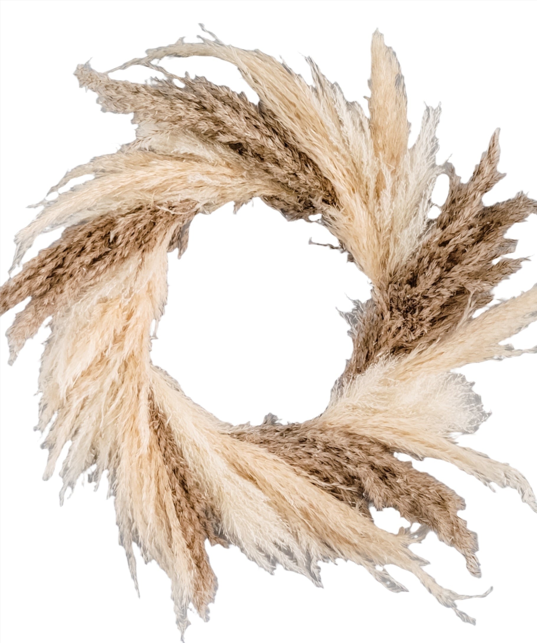 Pampas/Wreath2