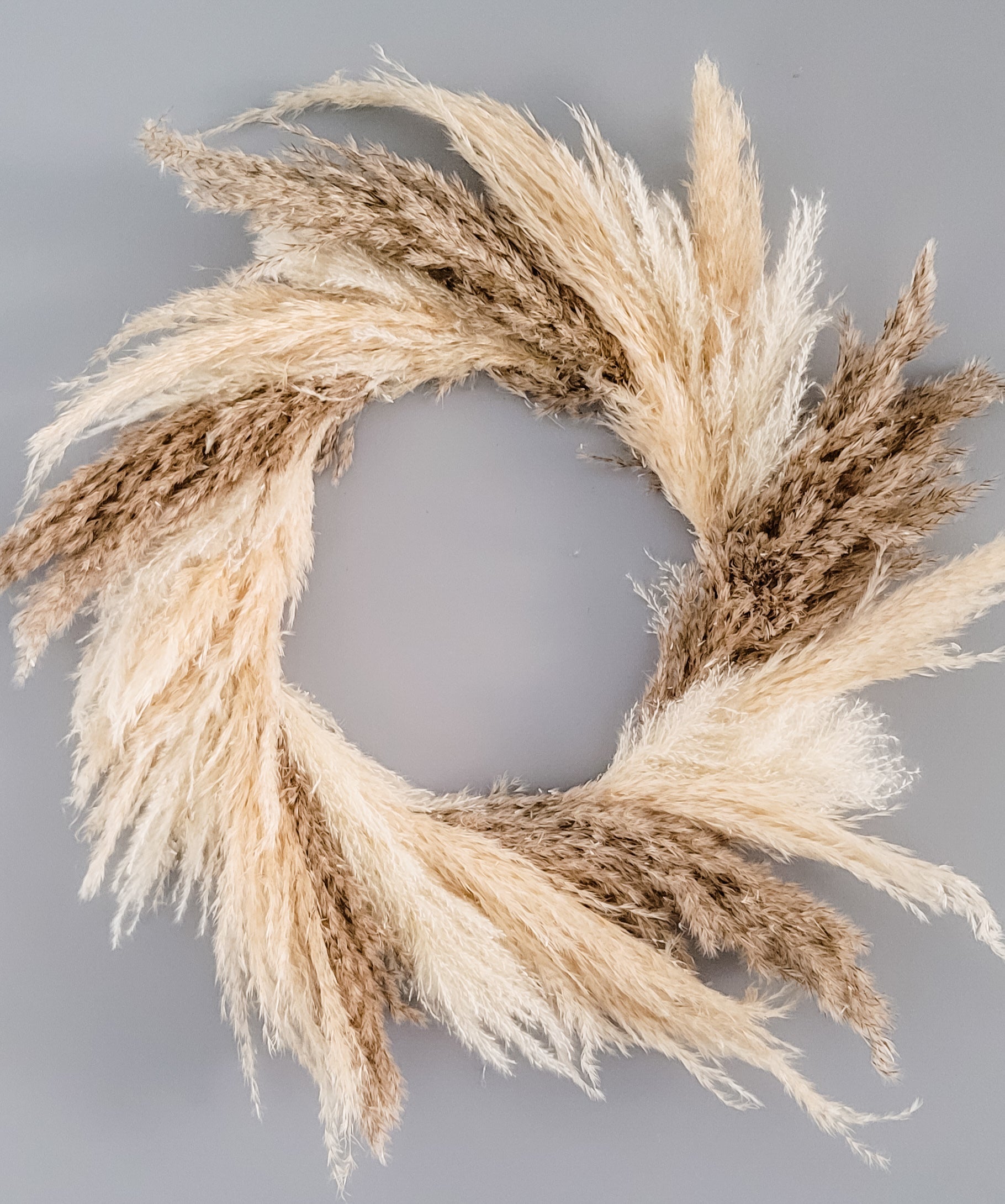 Pampas/Wreath2