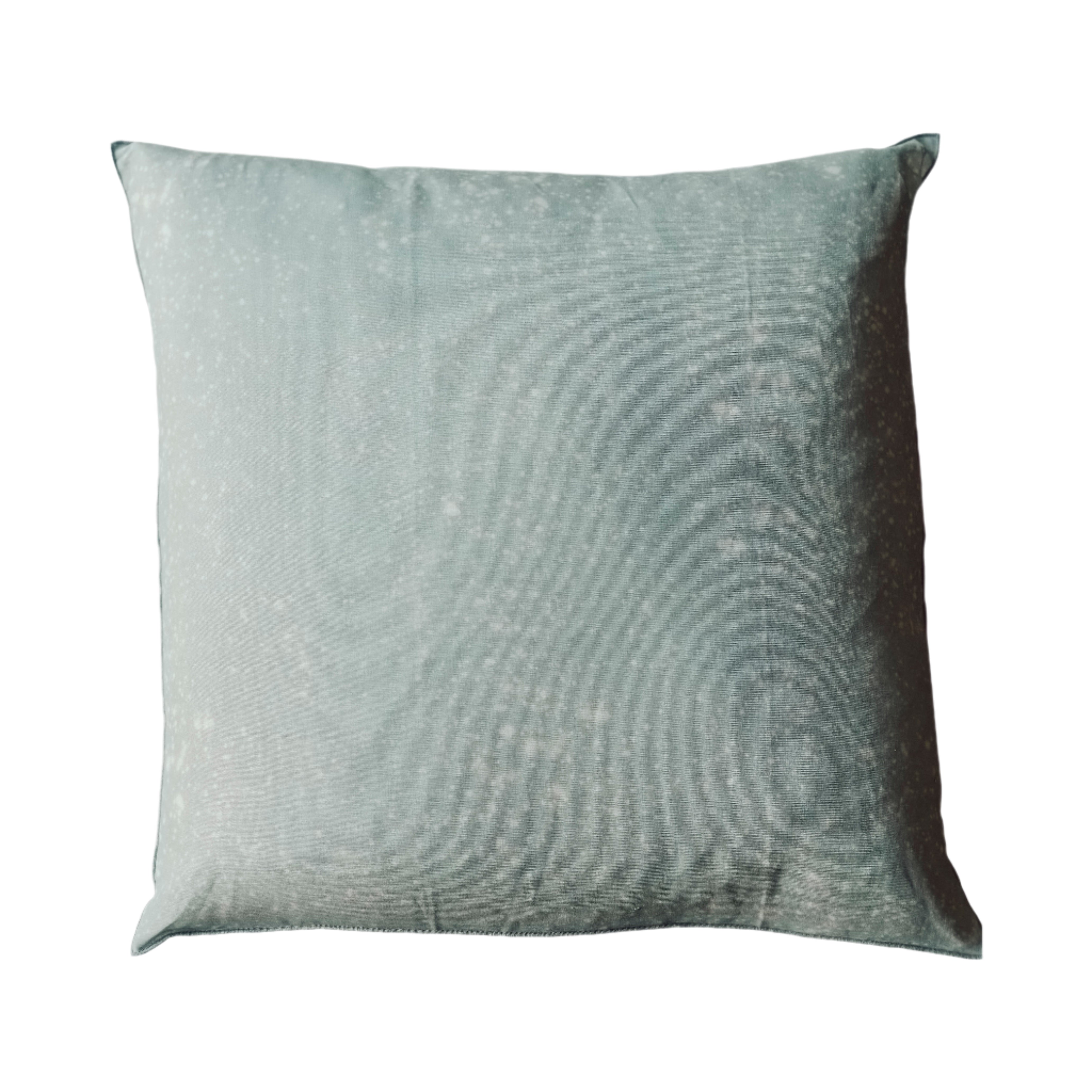 Stargazer/Pillow