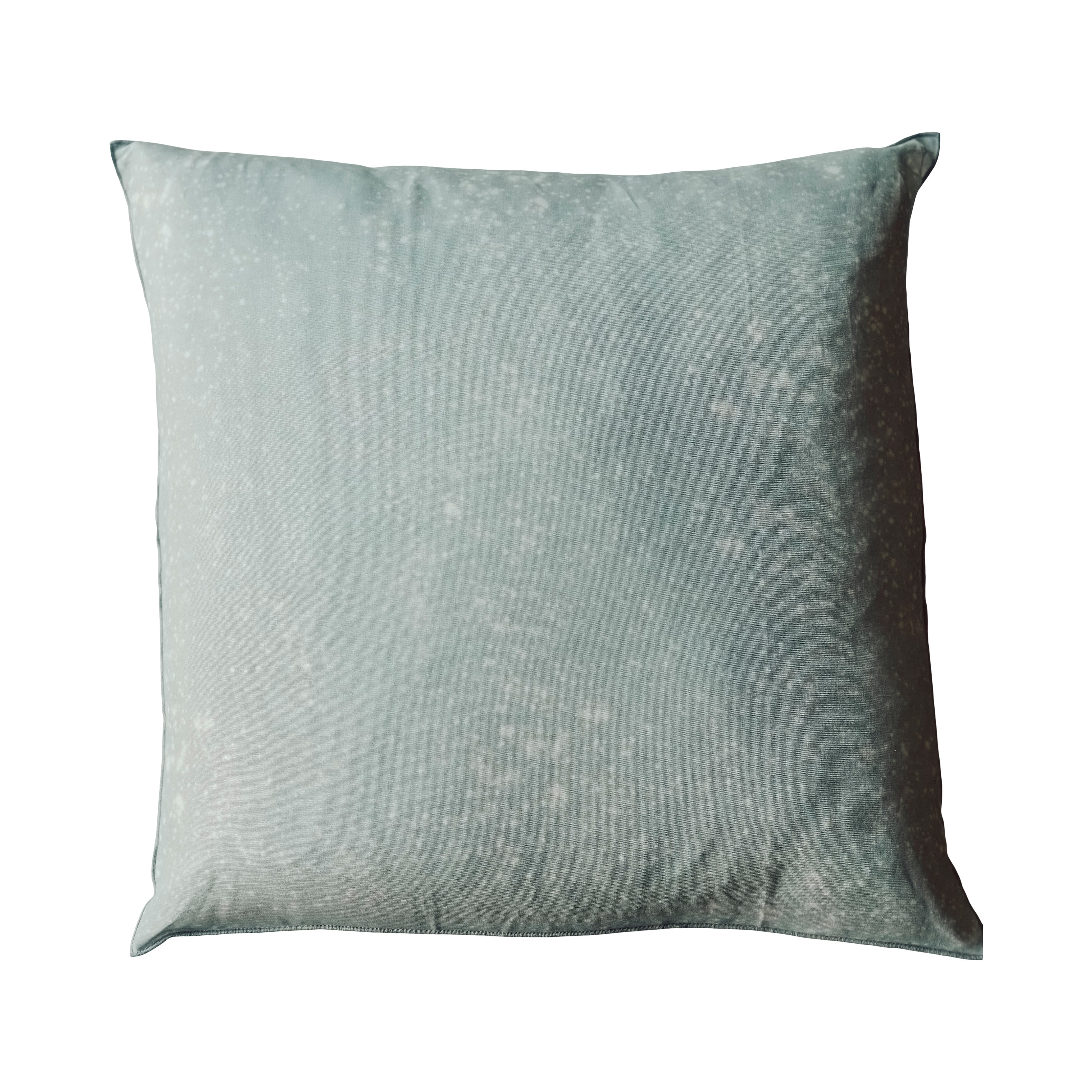 Stargazer/Pillow