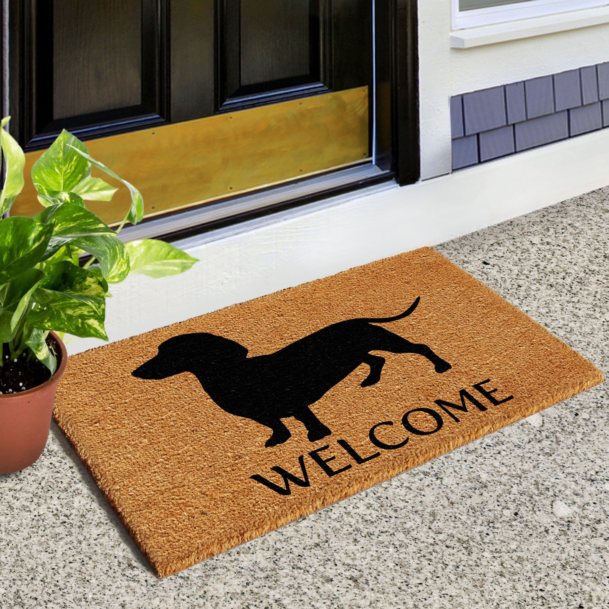 Door/Mat