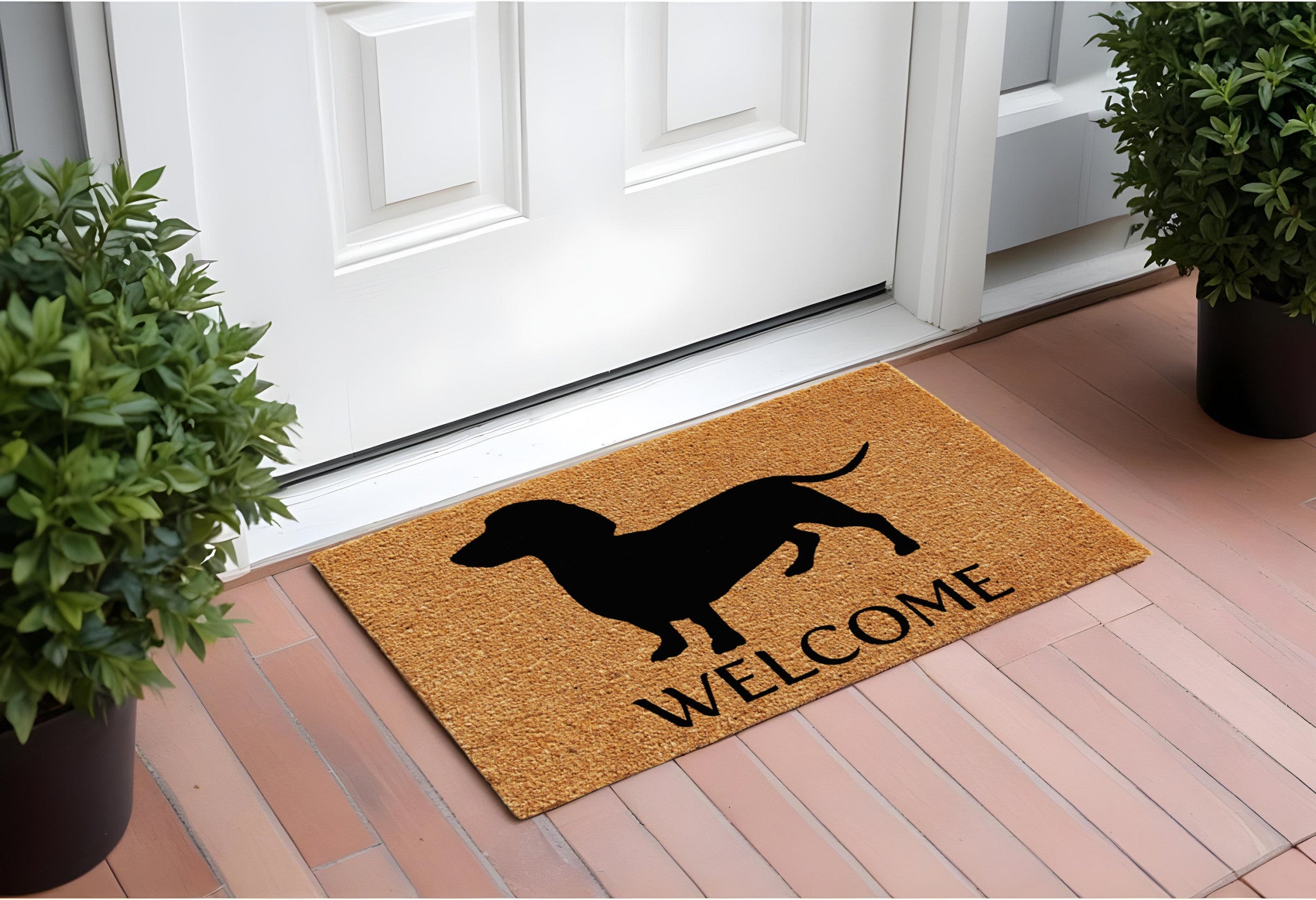 Door/Mat