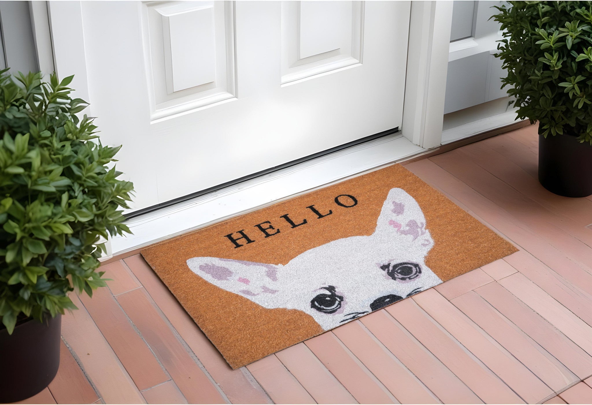 Door/Mat