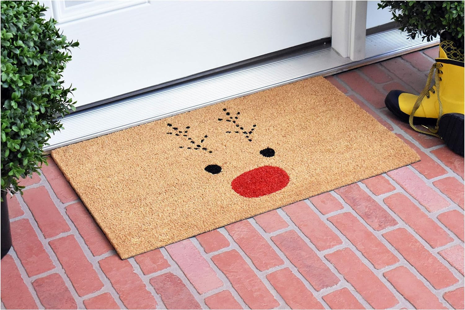 Door/Mat