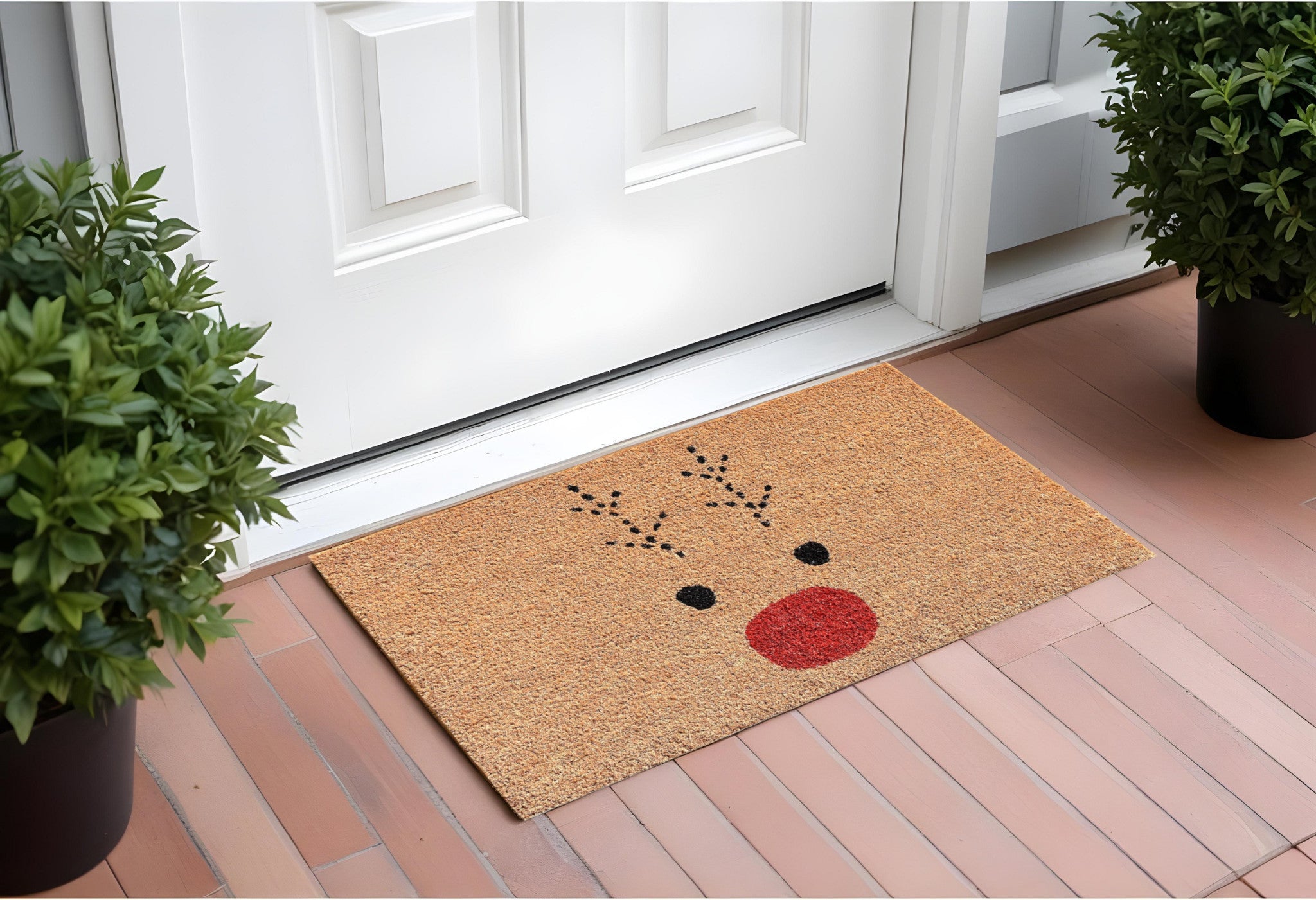 Door/Mat