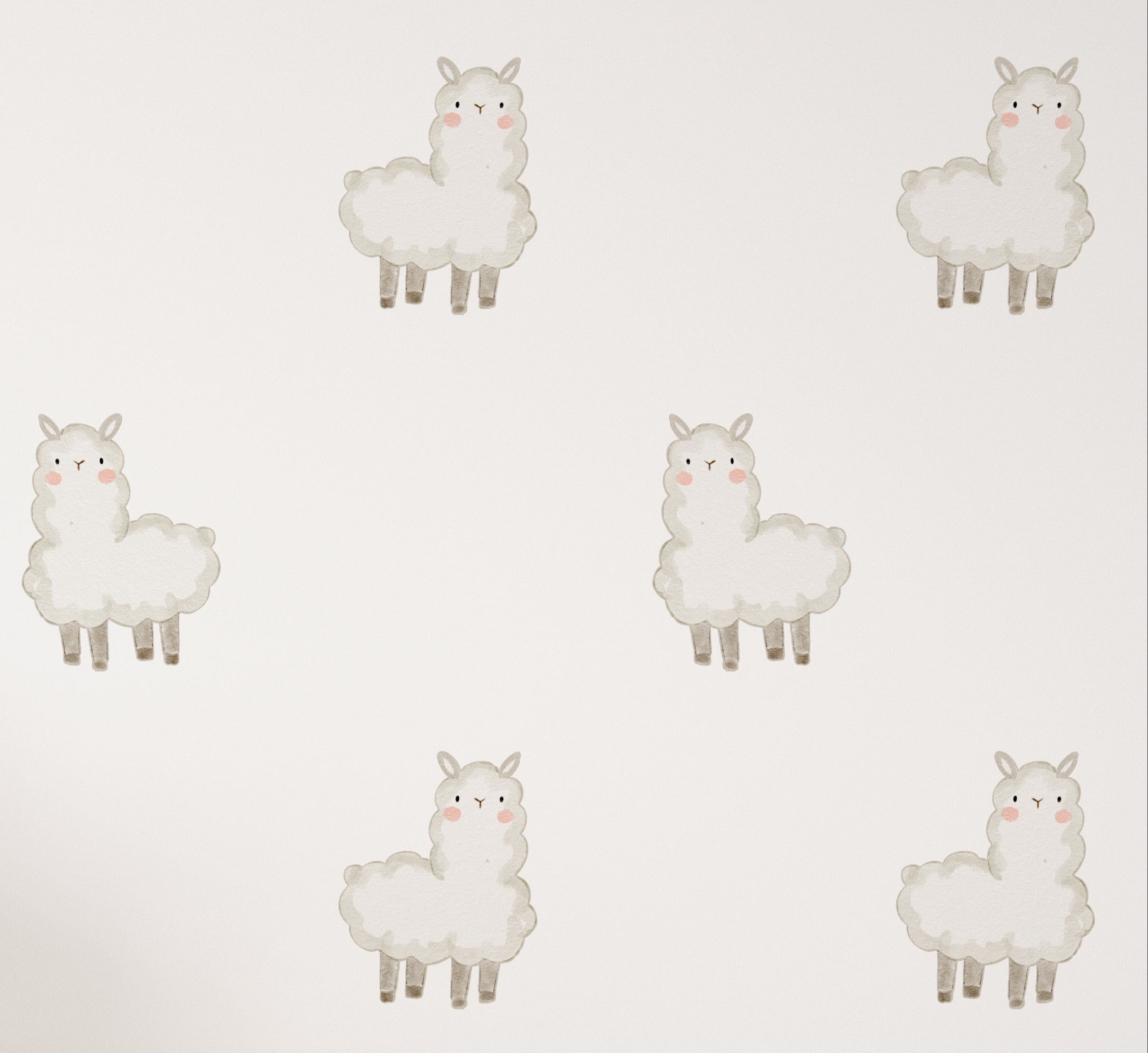 Cute/Llama