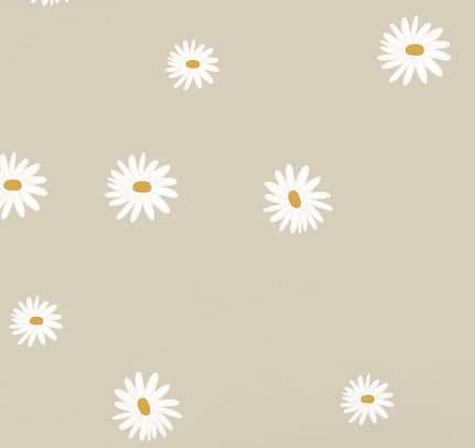 Daisies/Decal