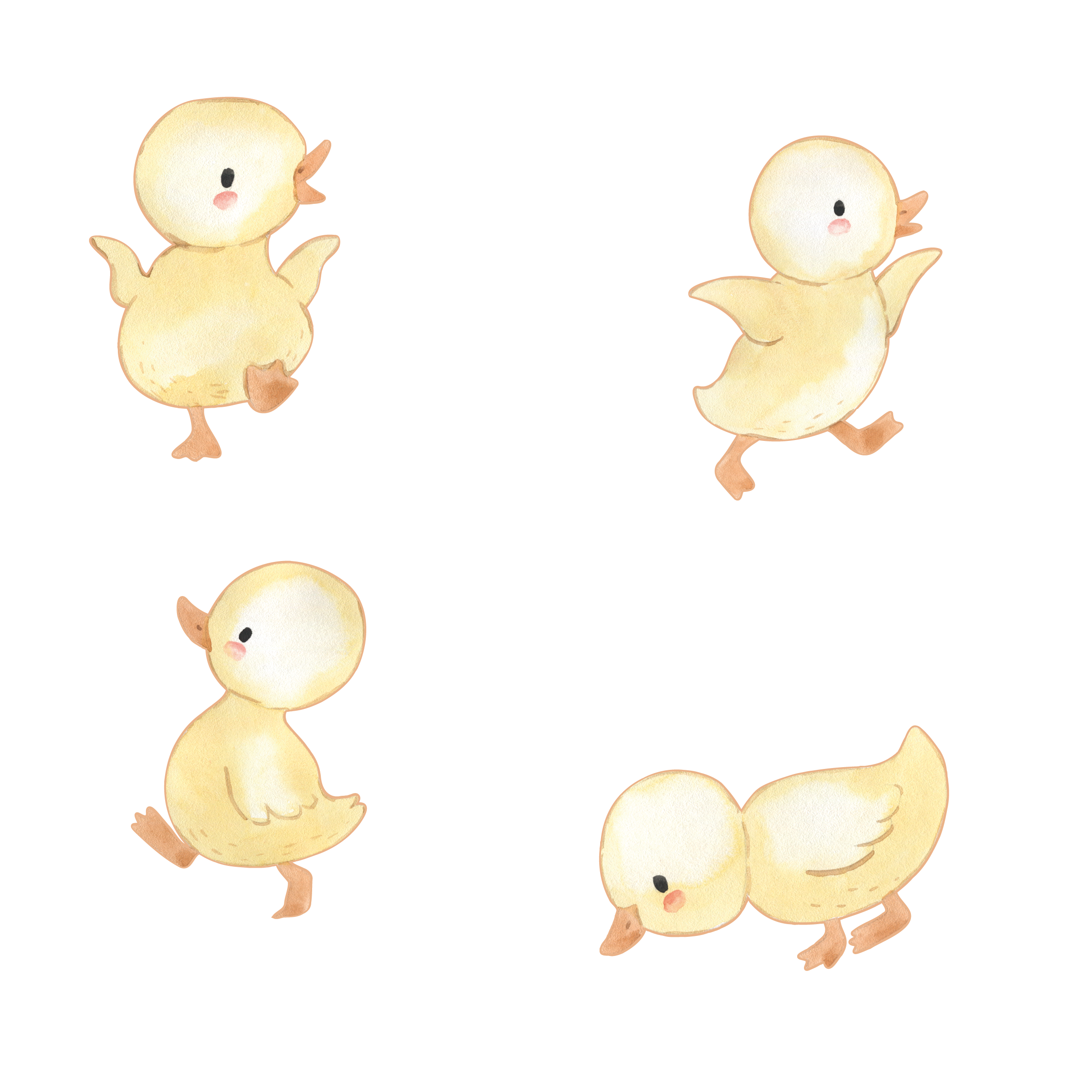 Ducklings/Decal