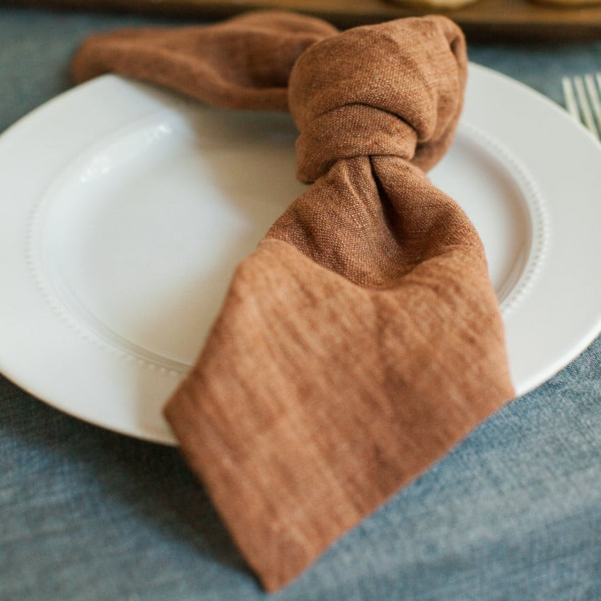 Terracotta/Napkins