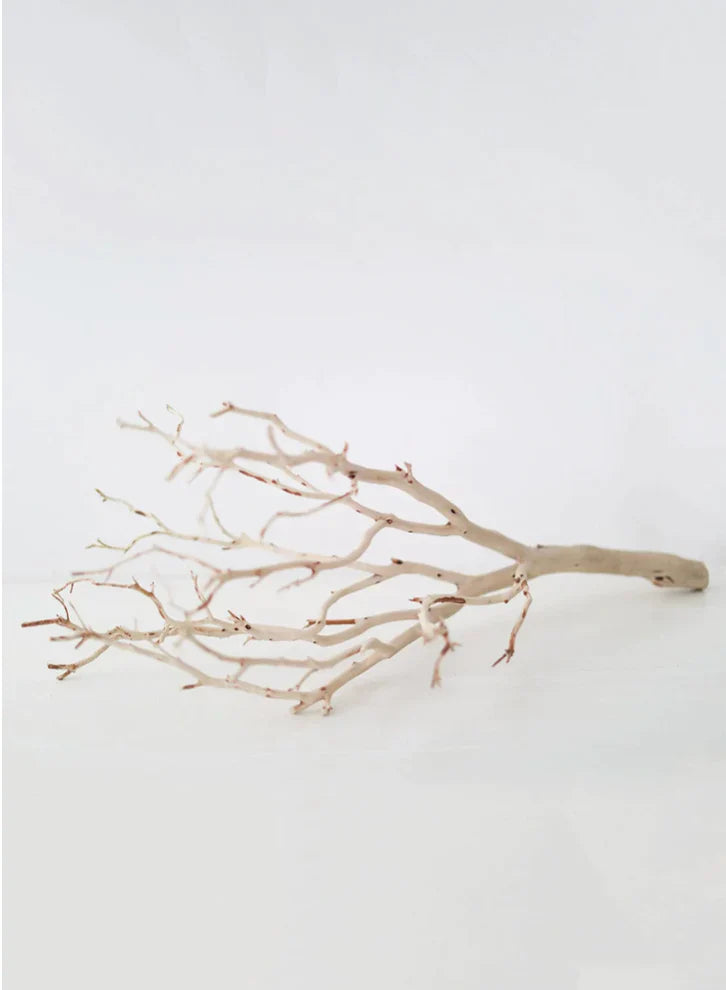 Manzanita/Branch