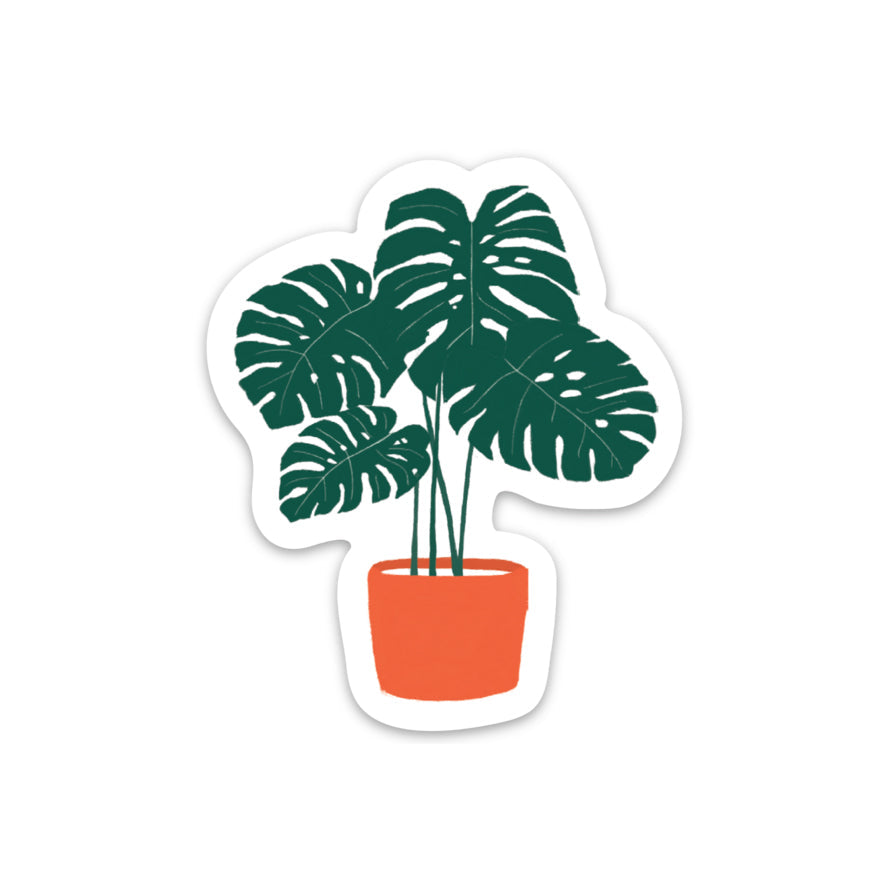 Monstera/Sticker