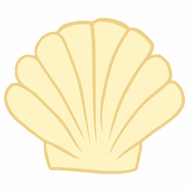 Shell/Decal