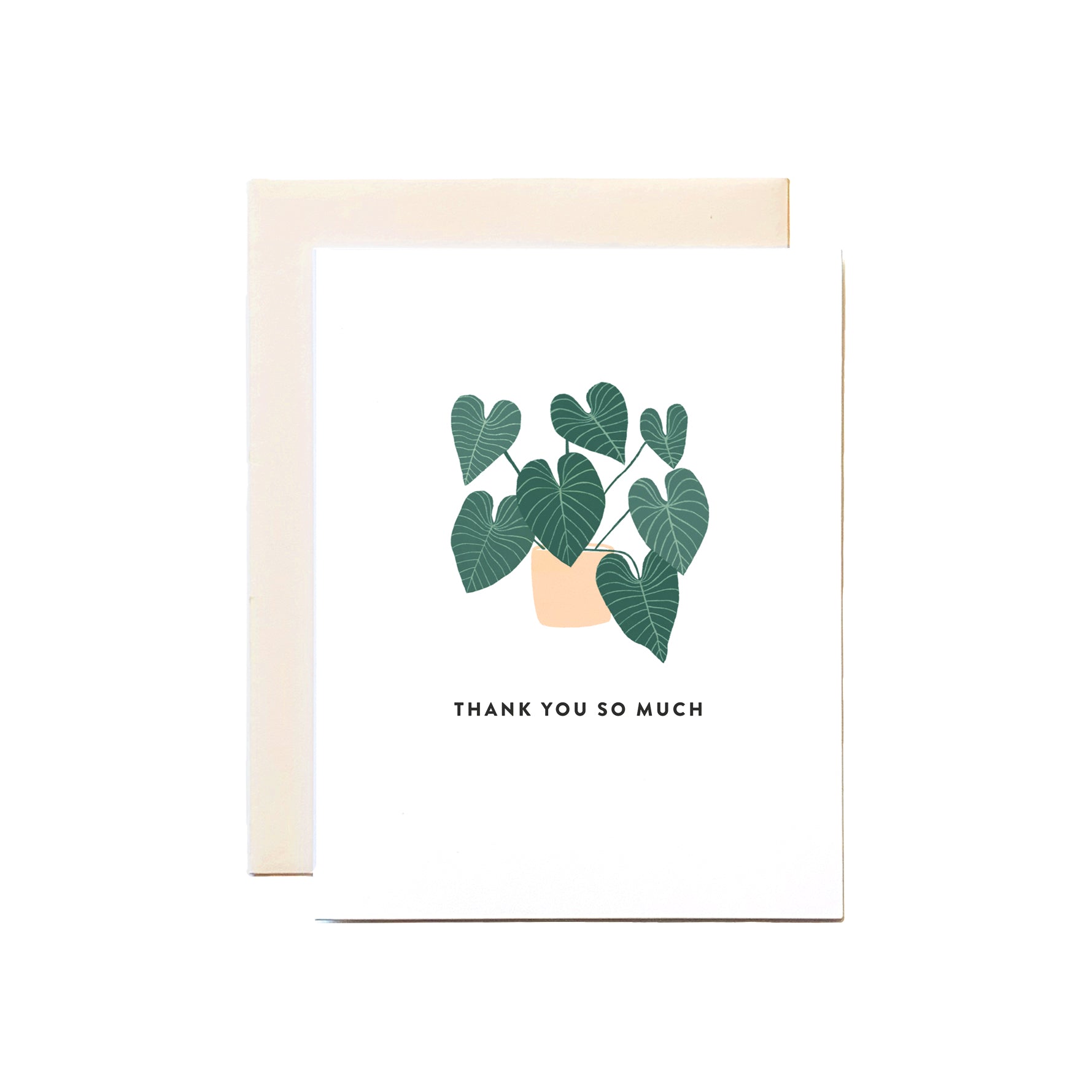 Plant/Card