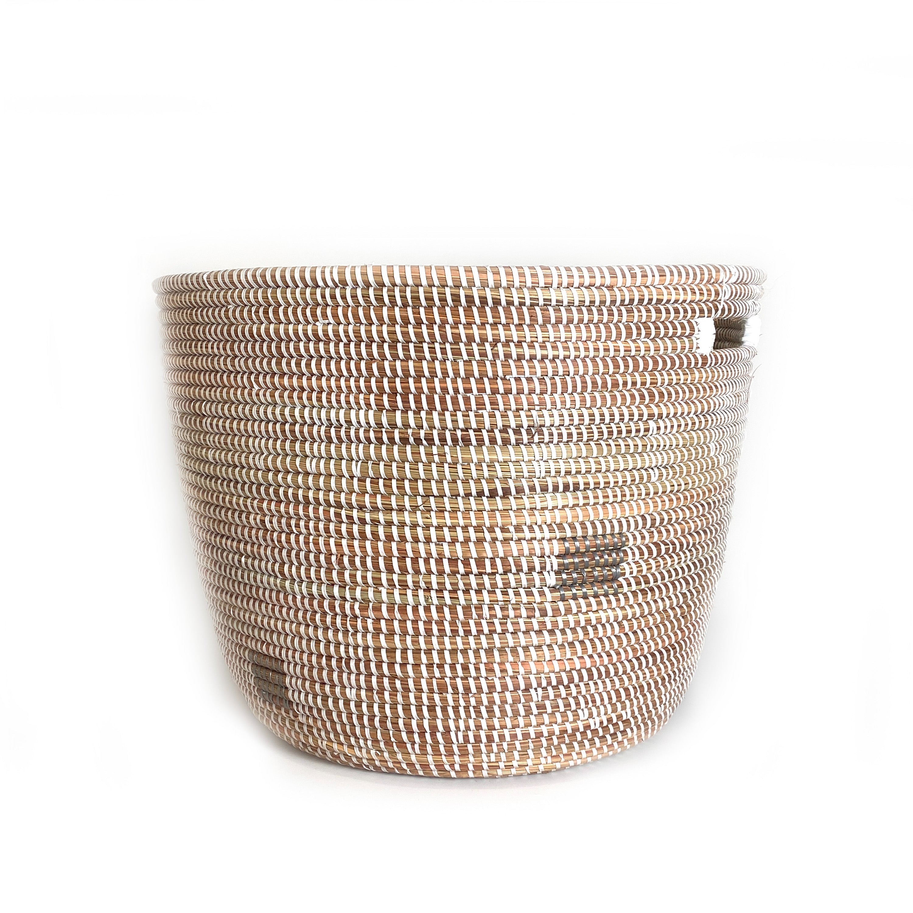 FlatLid/Basket