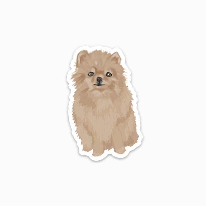 Pomeranian/Sticker