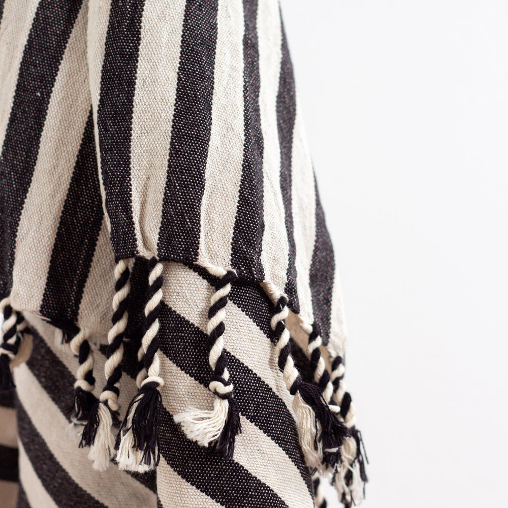 Zebra/Towel